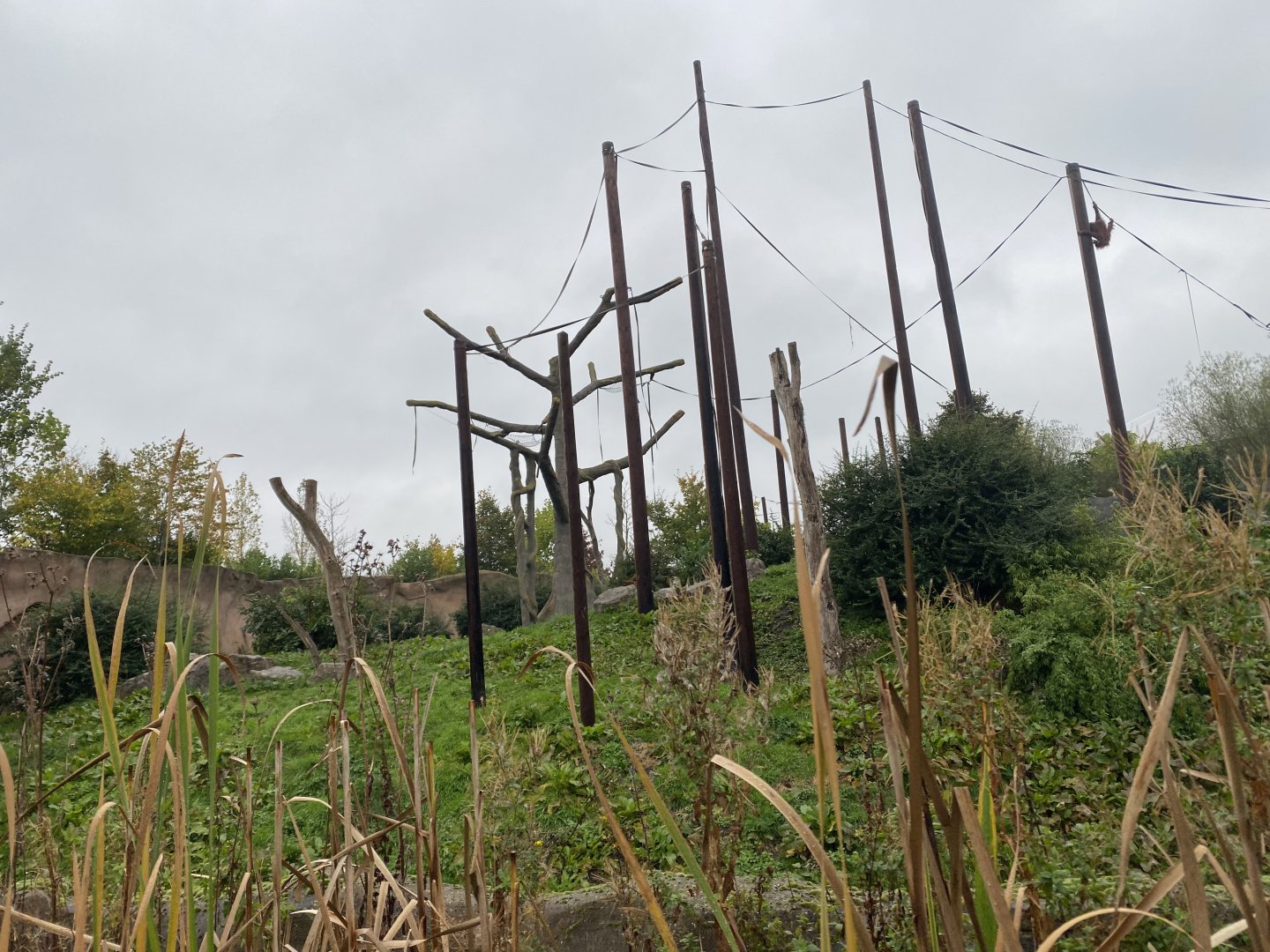 Islands Boat Trip view - Sumatran orangutan enclosure 181021