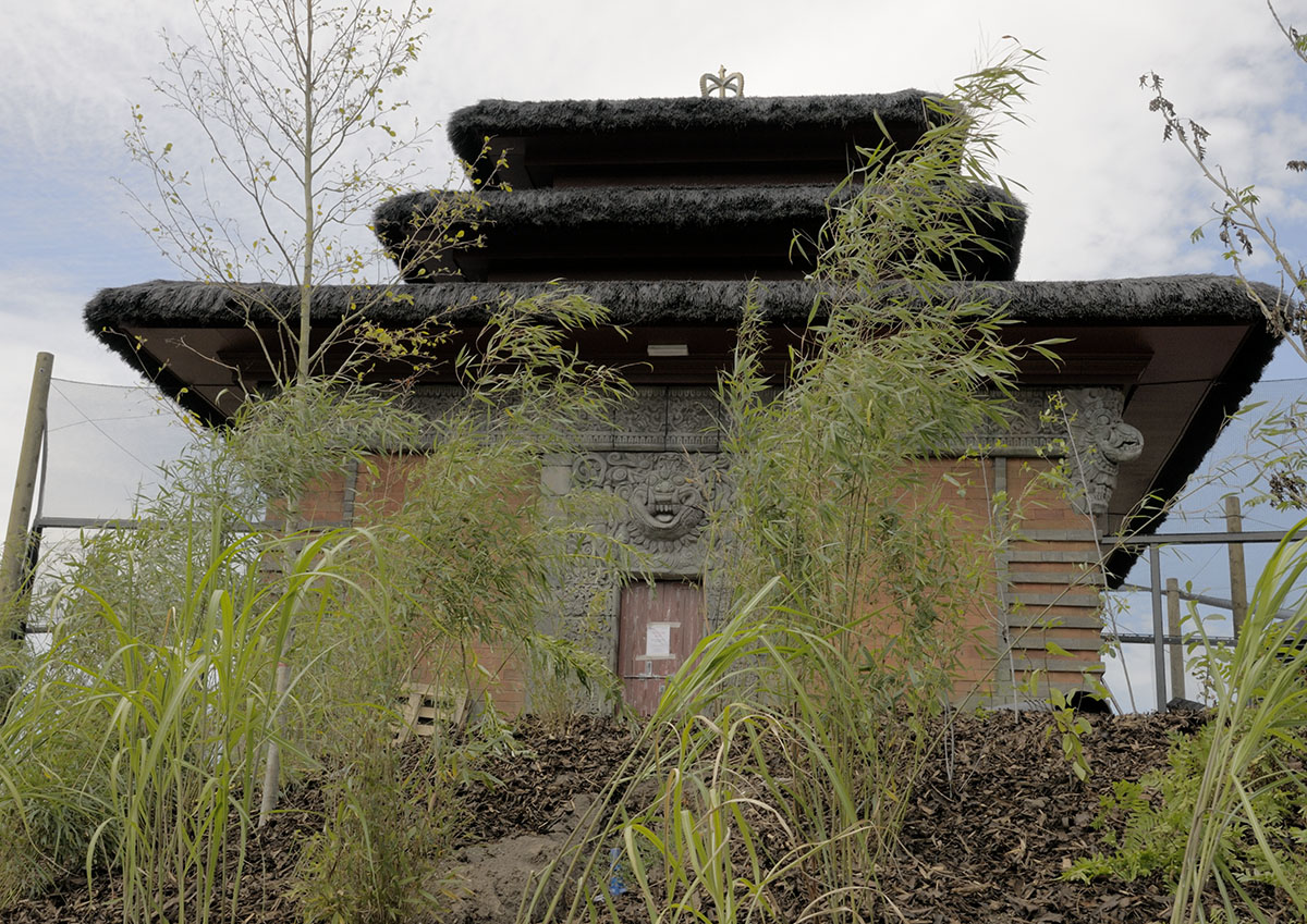 Islands by Boat - Bali Aviary