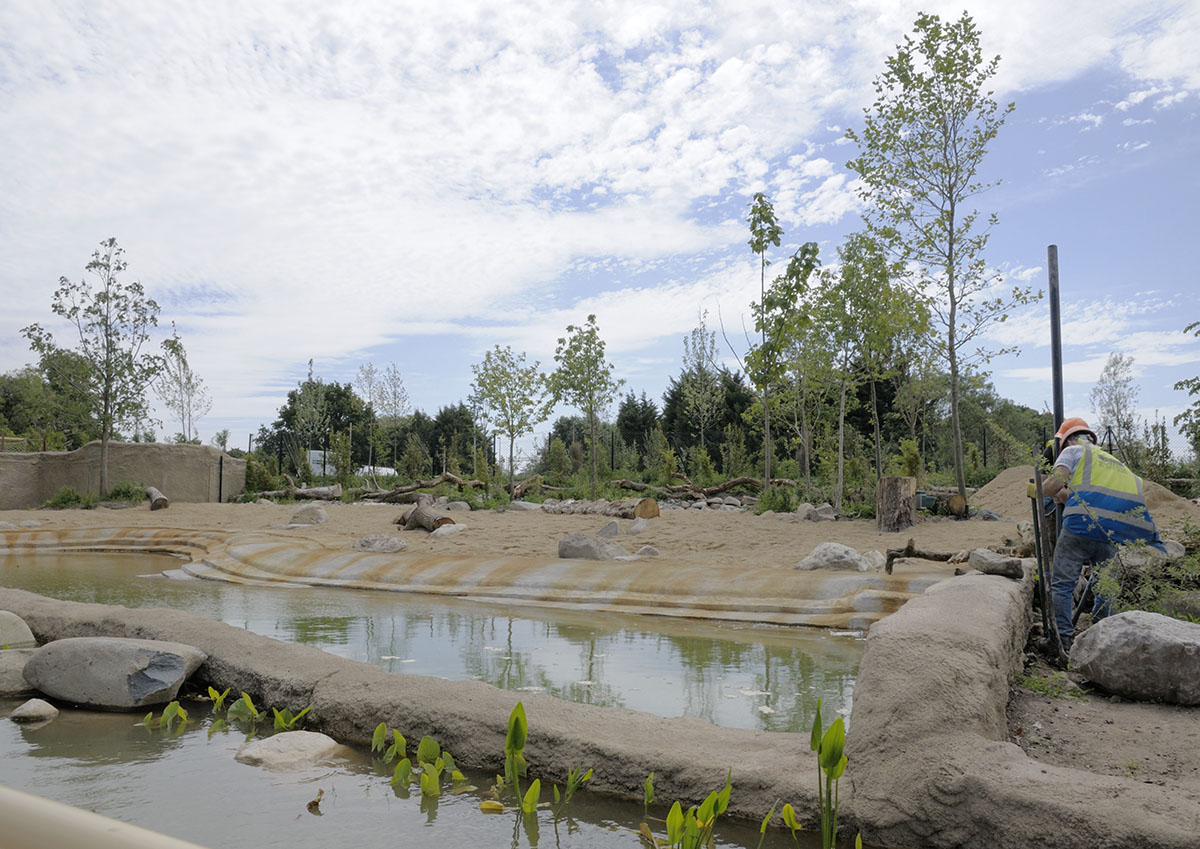 Islands by Boat - Banteng Paddock under construction