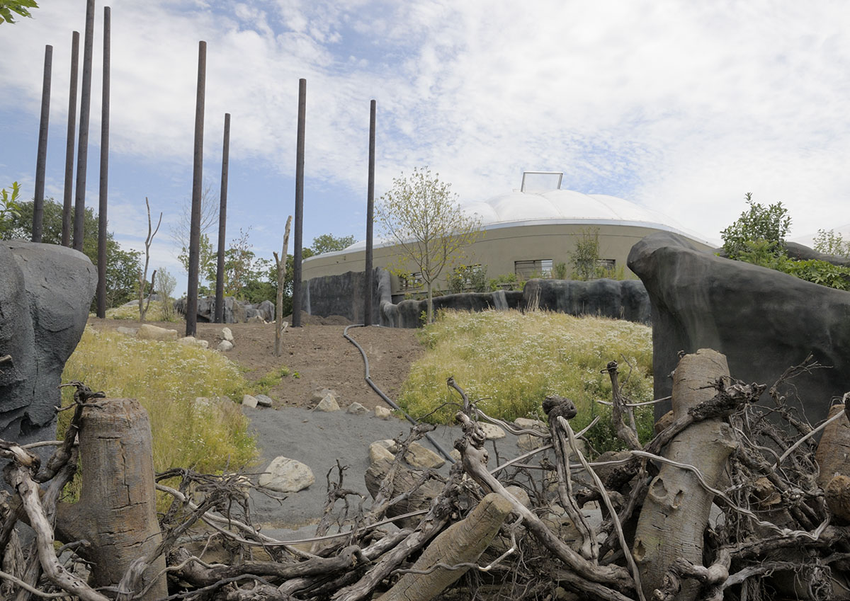 Islands by Boat - Celebes Macaque Enclosure