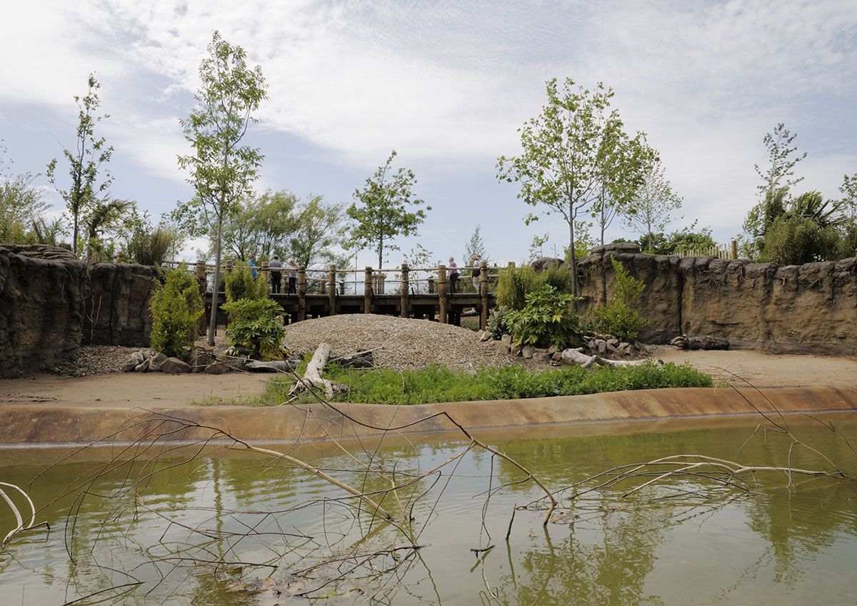 Islands by Boat - First Warty Pig Beach