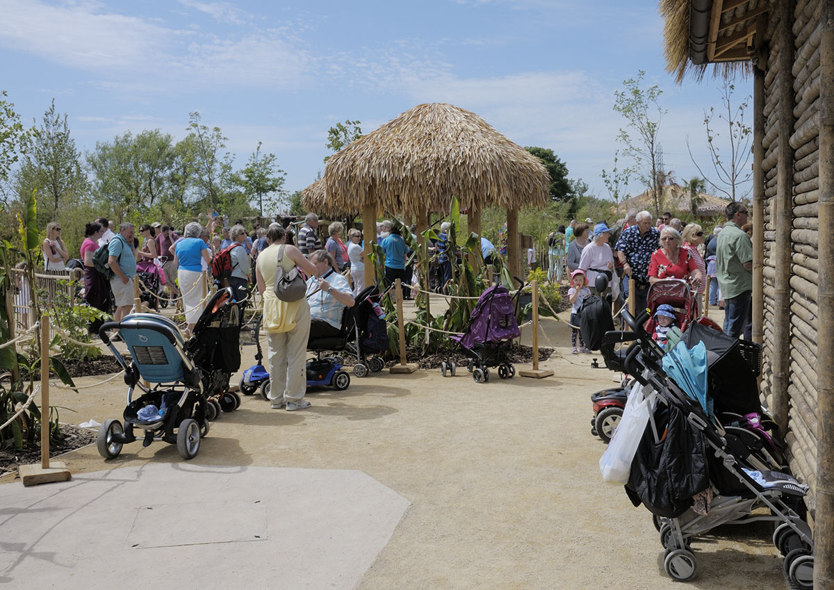 Islands by Boat - Lazy River Trip Buggy Park