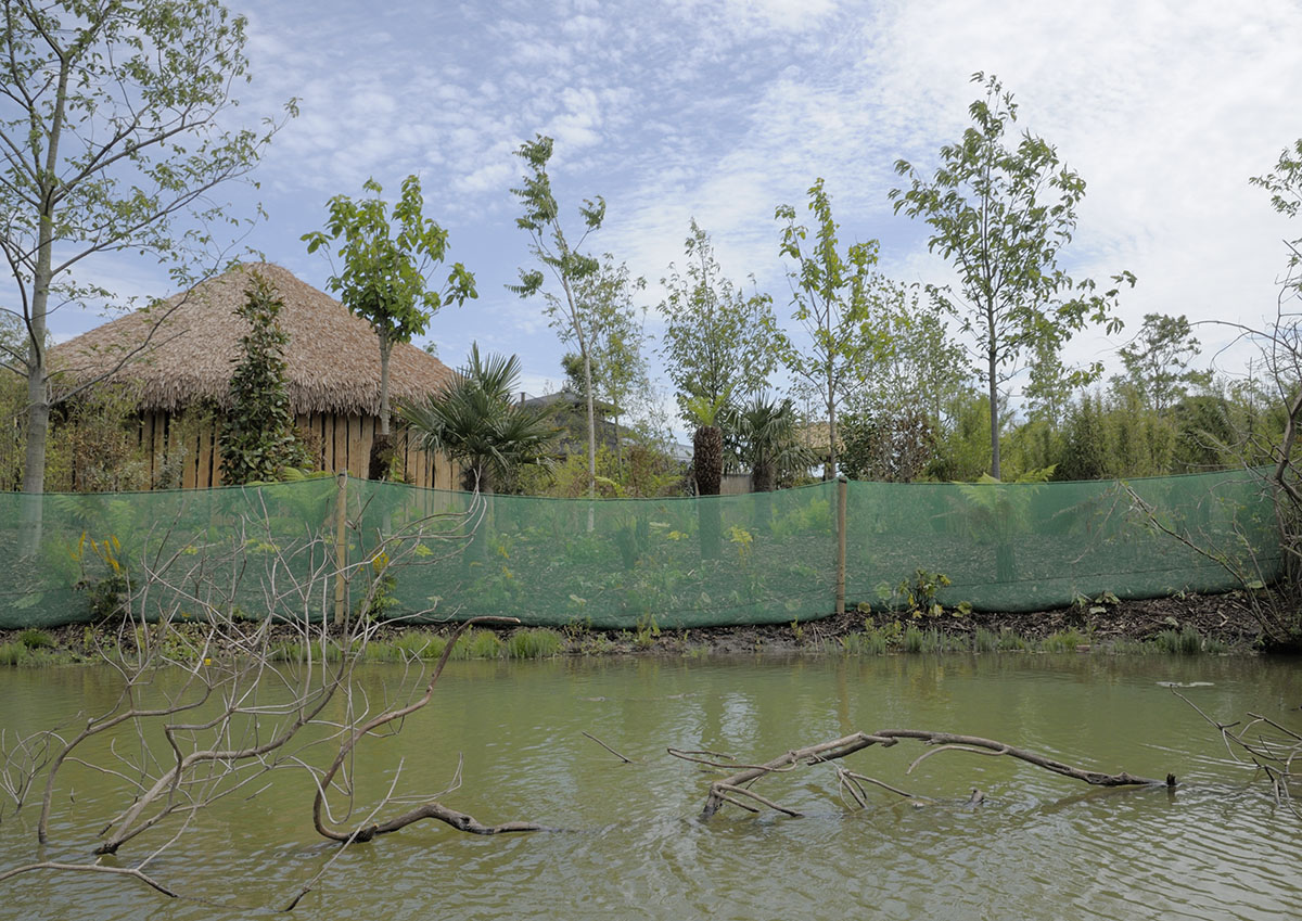 Islands by Boat - Second Cassowary Enclosure