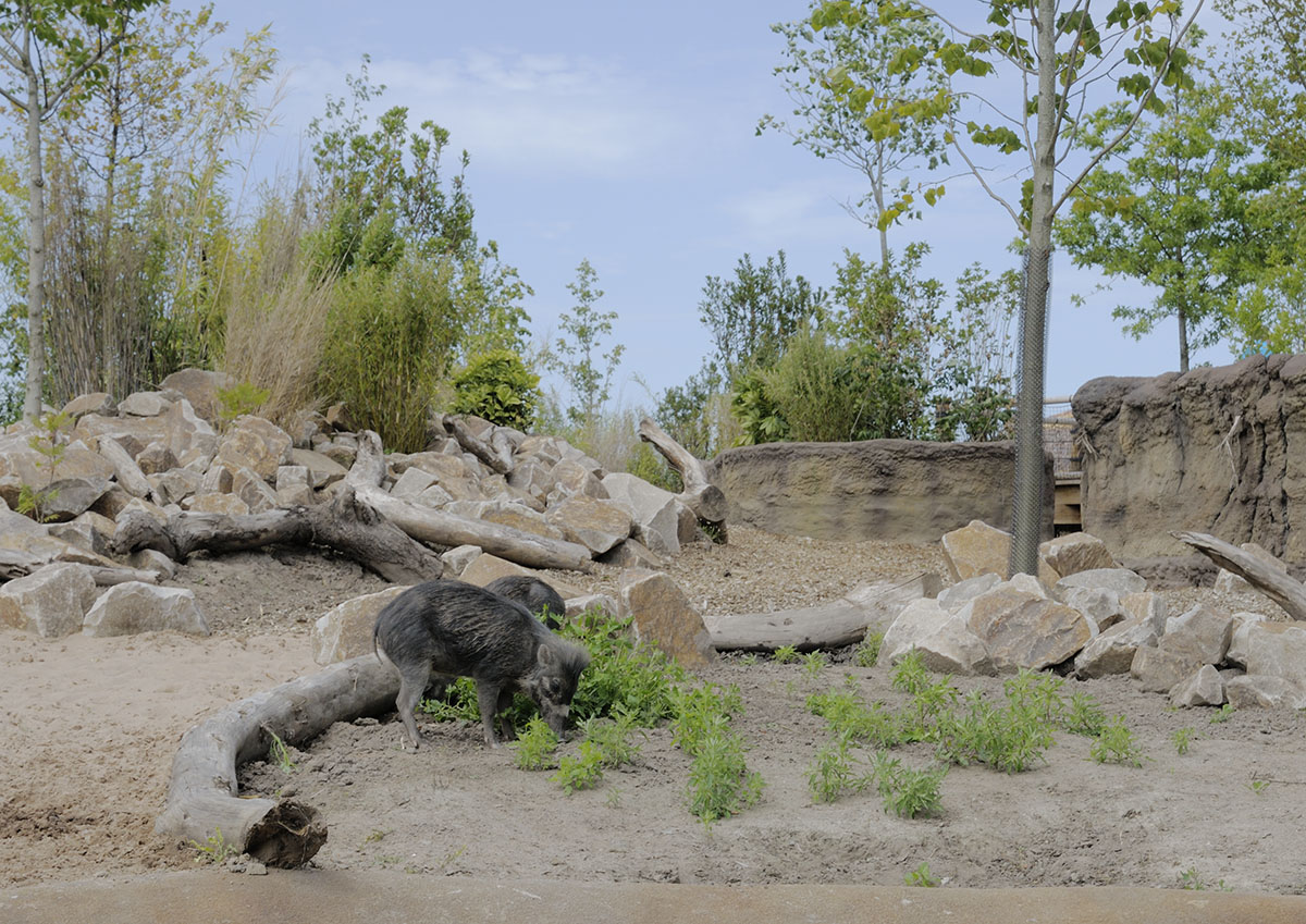 Islands by Boat - Second Warty Pig Beach