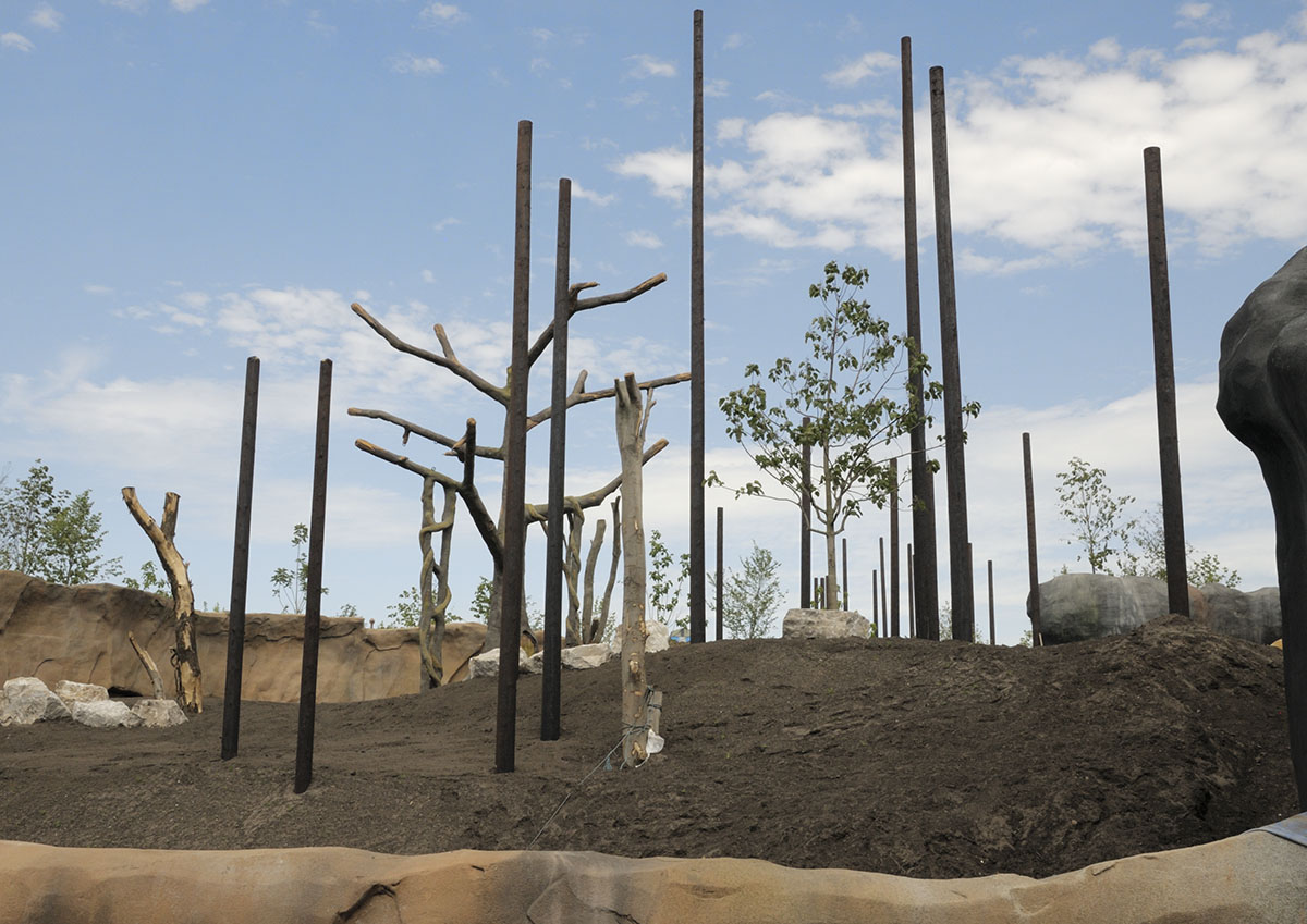 Islands by Boat - the open Orang Enclosure