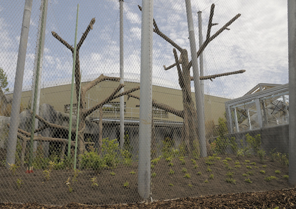 Islands by Boat - the wire Orang Enclosure and the Monsoon Forest
