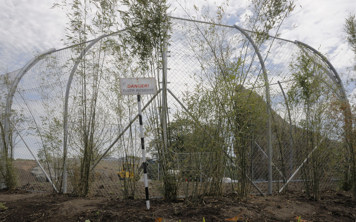 Islands by Boat - Tiger Enclosure under construction