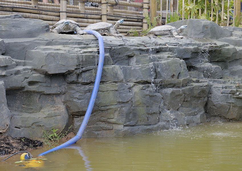 Islands by Boat - Turtle Waterfall