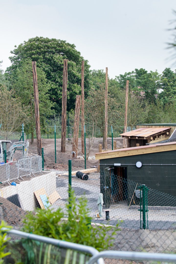 Islands Construction - 25/05/2017