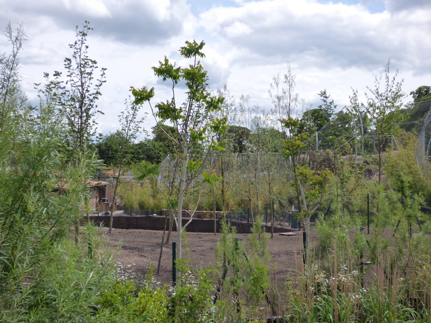 Islands Construction- Malayan Tapir Paddock