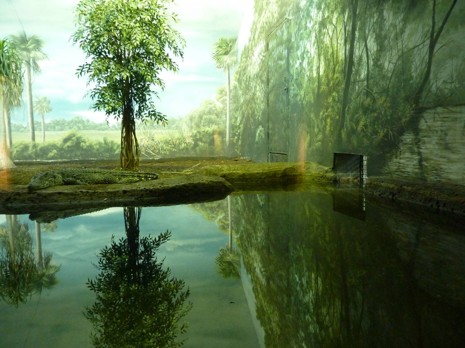 Islands - Cuban Crocodile Exhibit