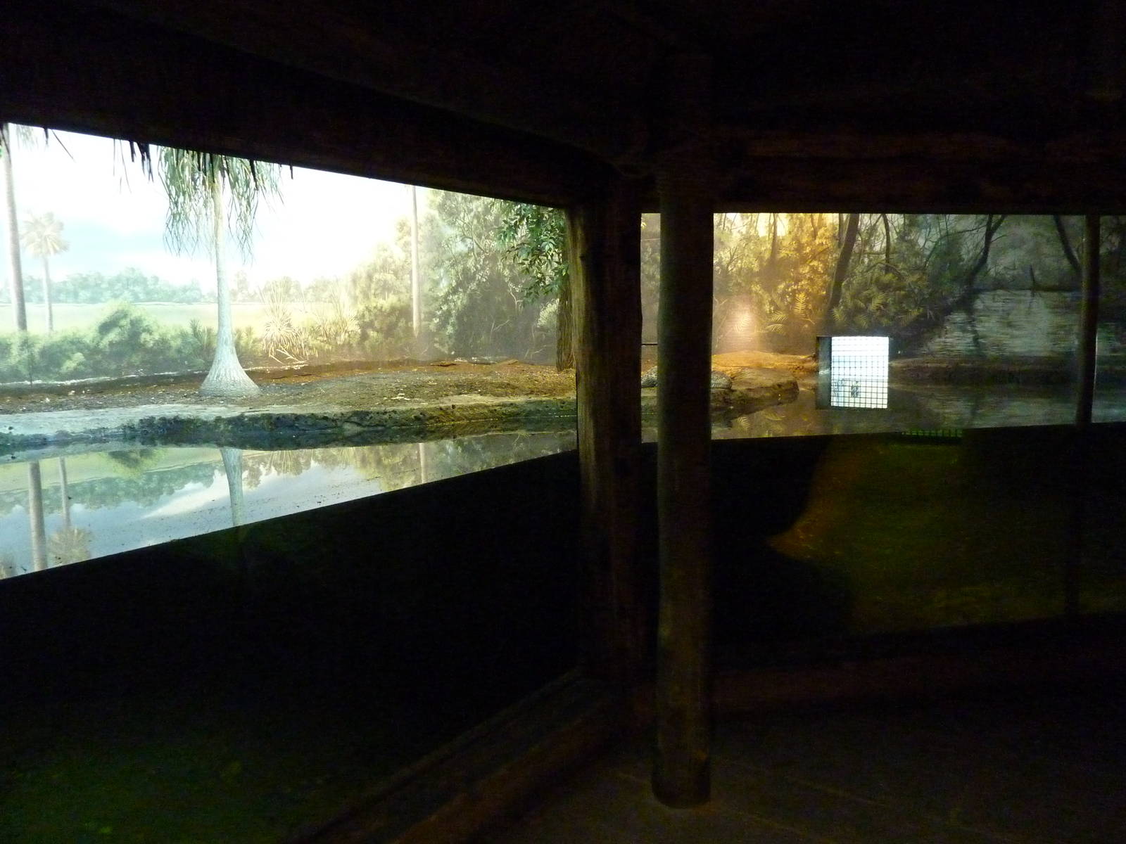 Islands - Cuban Crocodile Exhibit