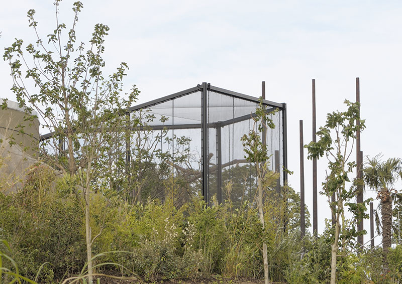 Islands Extra - Hornbill Aviary