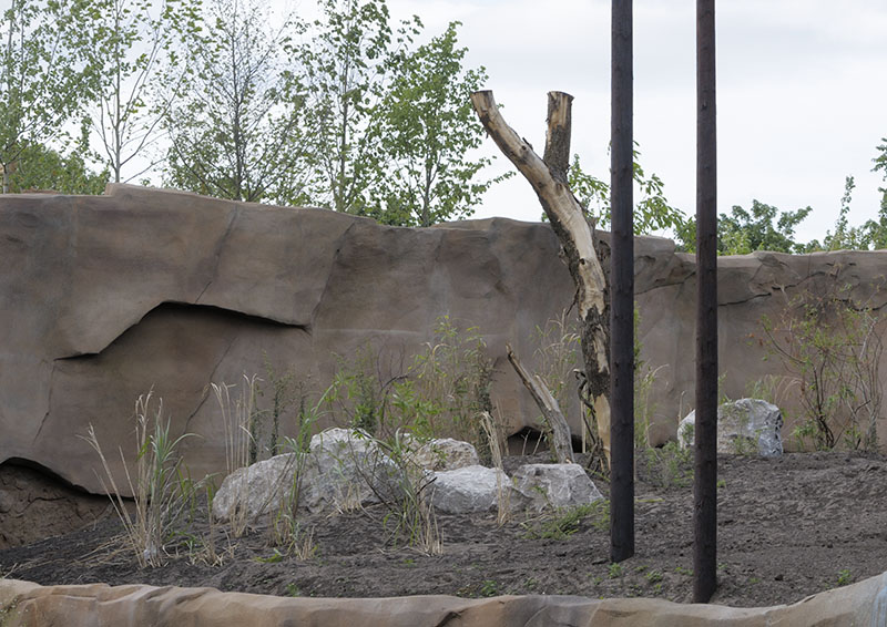 Islands Extra - Orang enclosure planting