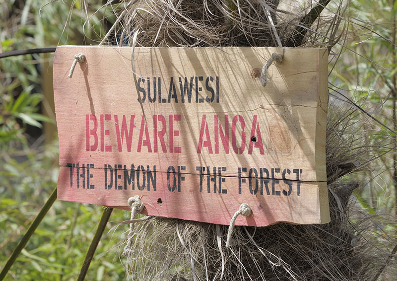 Islands Extra - Warning!