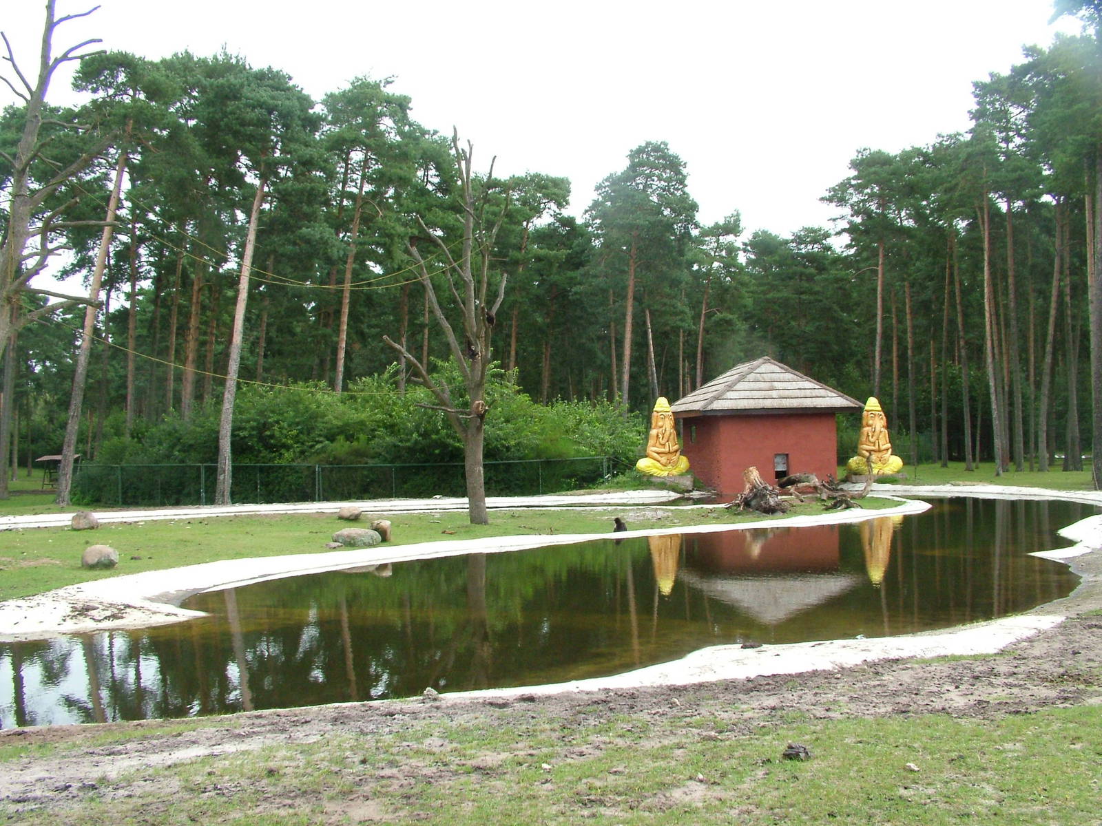 Islands for Lar Gibbons in the Asia reserve at Serengetipark Hodenhagen