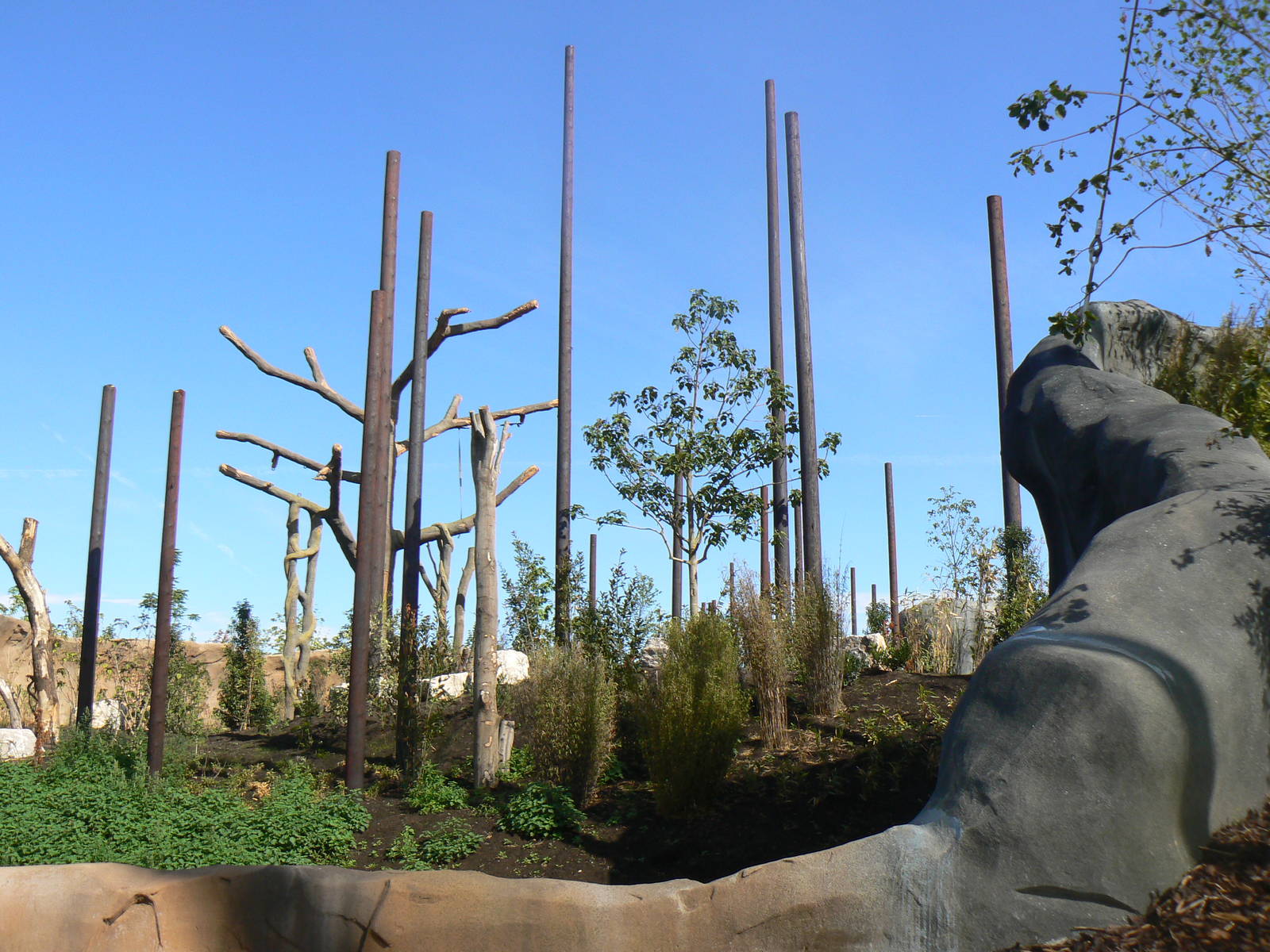 Islands- Future Macaque Enclosure