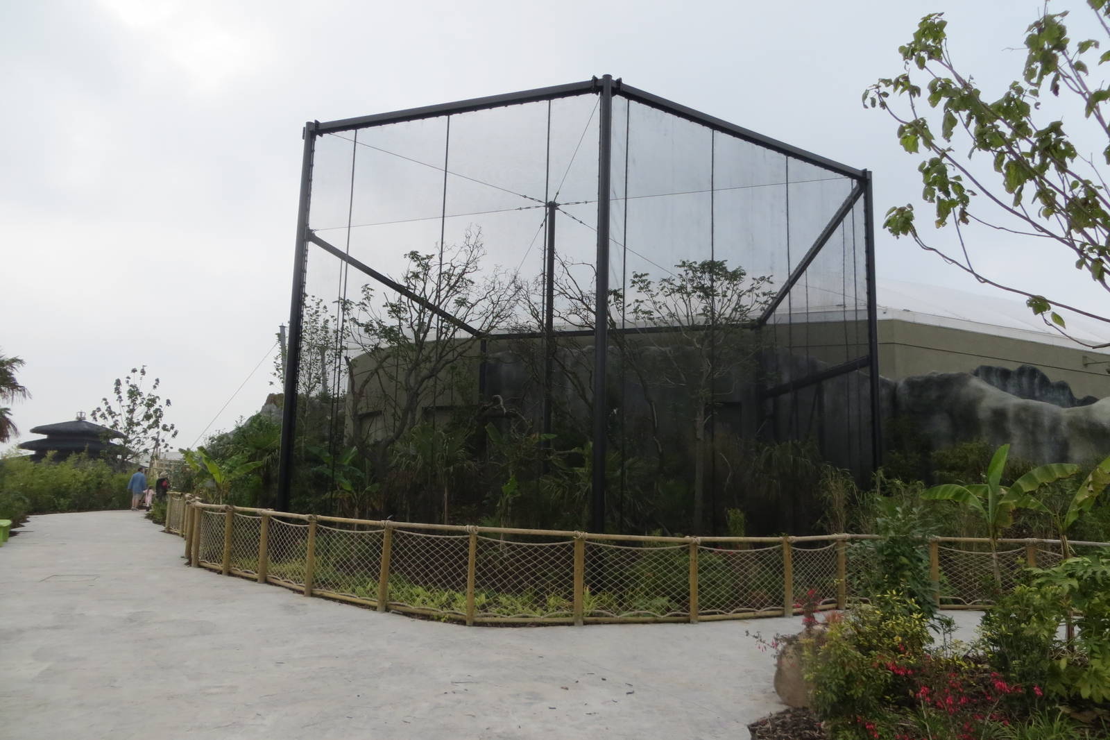 Islands - Hornbill enclosure 031015