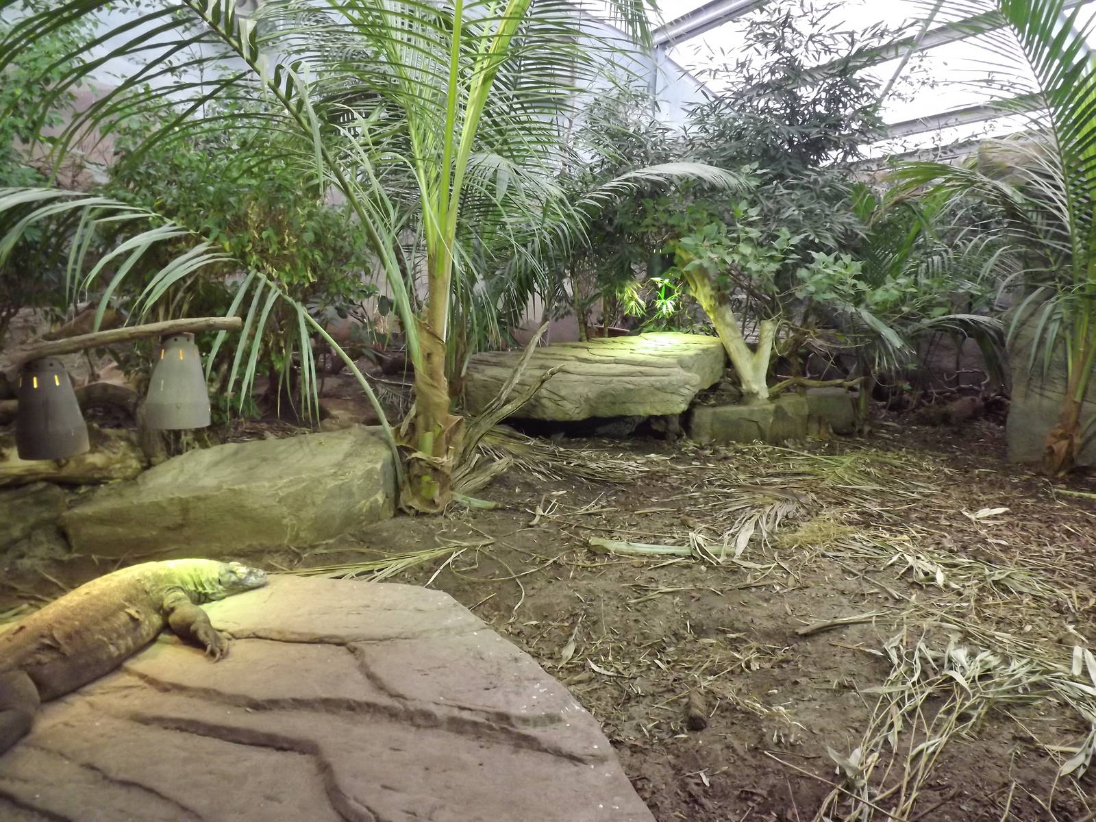 Islands in Danger at Chester Zoo 31/03/12