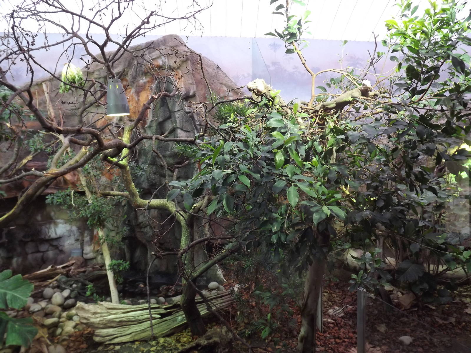 Islands in Danger at Chester Zoo 31/03/12