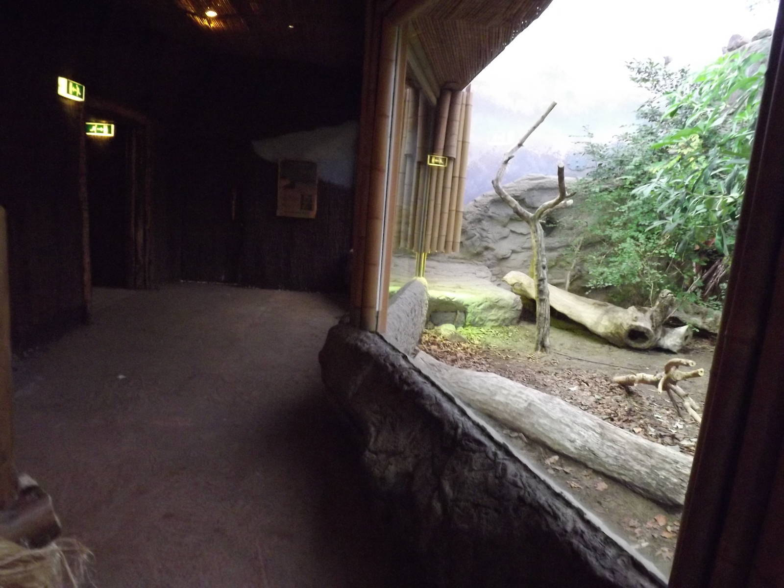 Islands in Danger at Chester Zoo 31/03/12