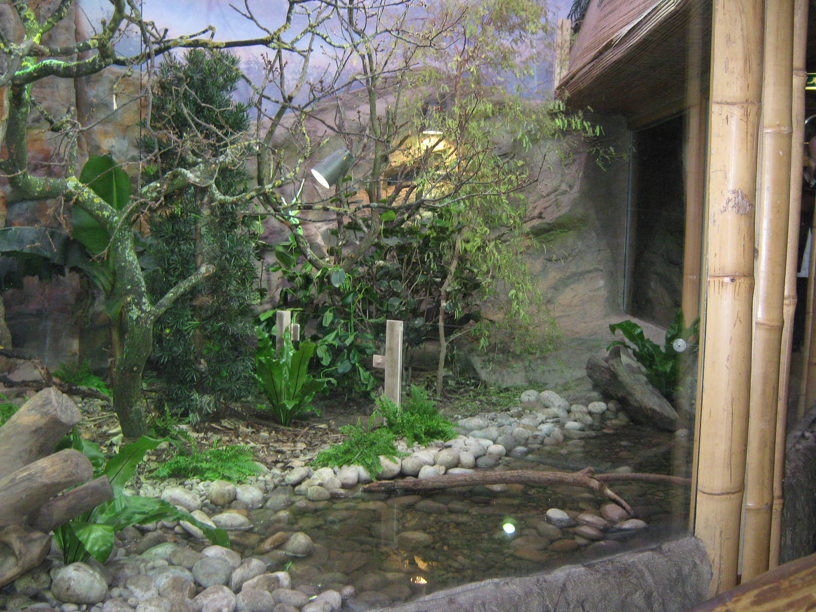 Islands in Danger Iguana developments