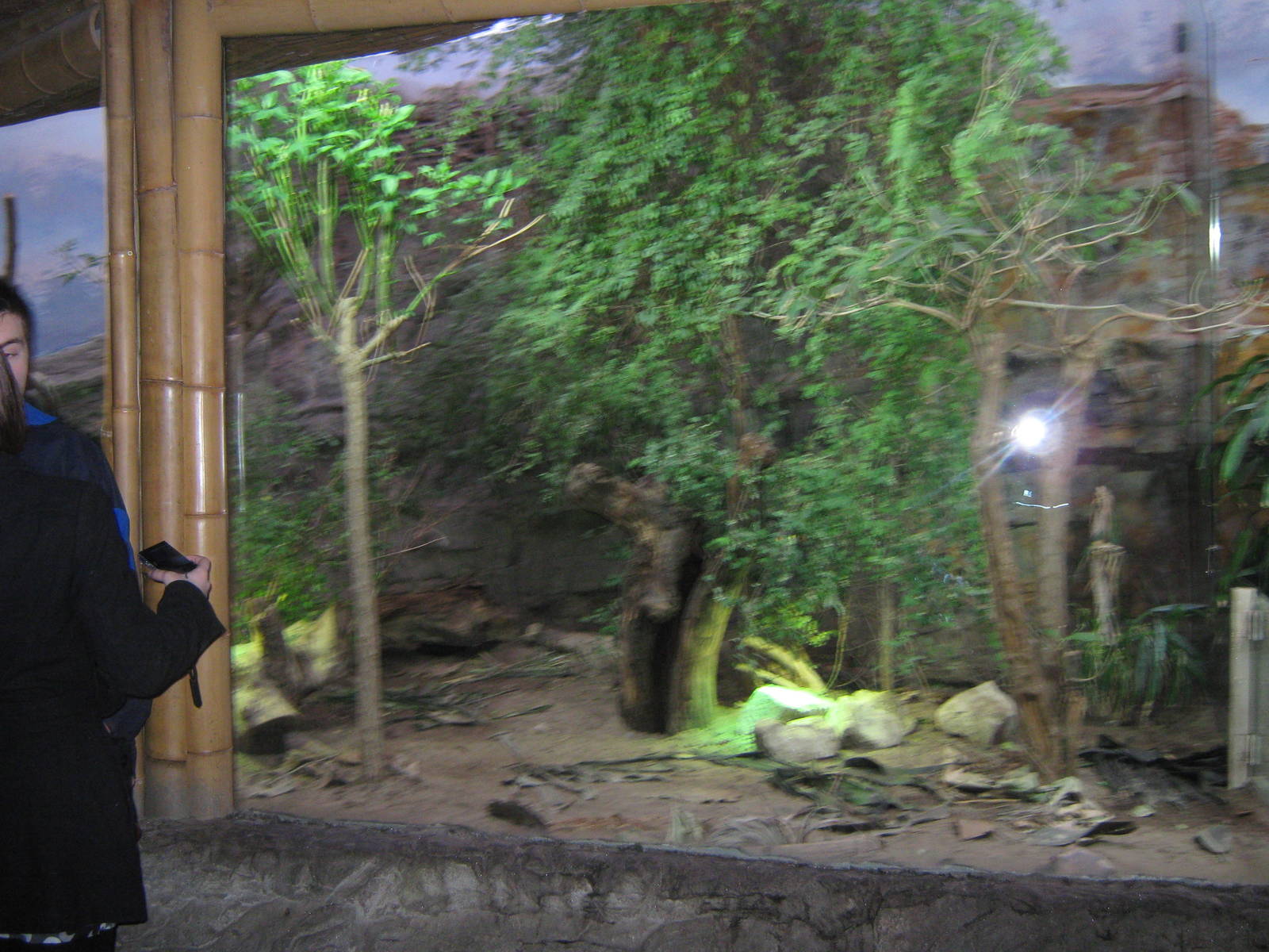 Islands in Danger Iguana developments