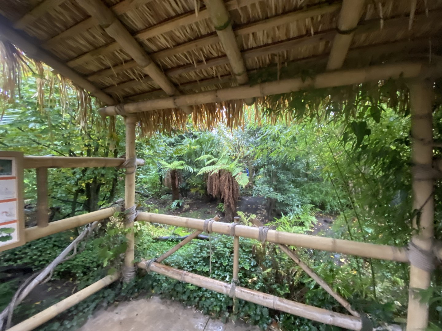 Islands - Indonesian Aviary 181021