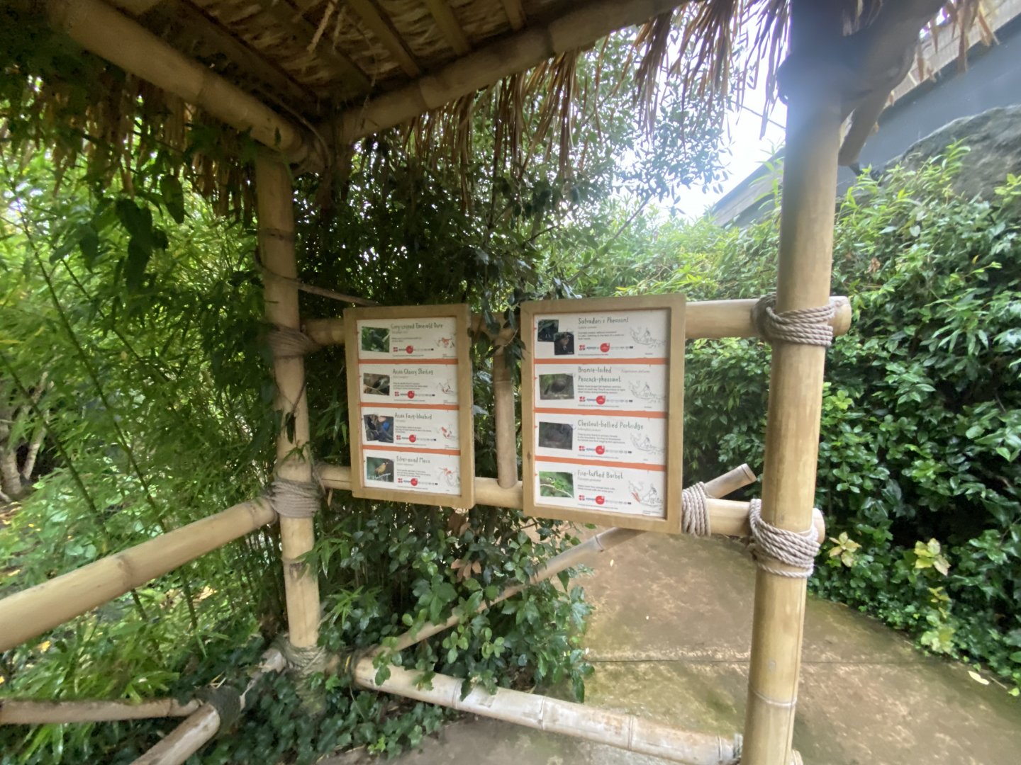 Islands - Indonesian Aviary - inhabitants sign 1 - 181021