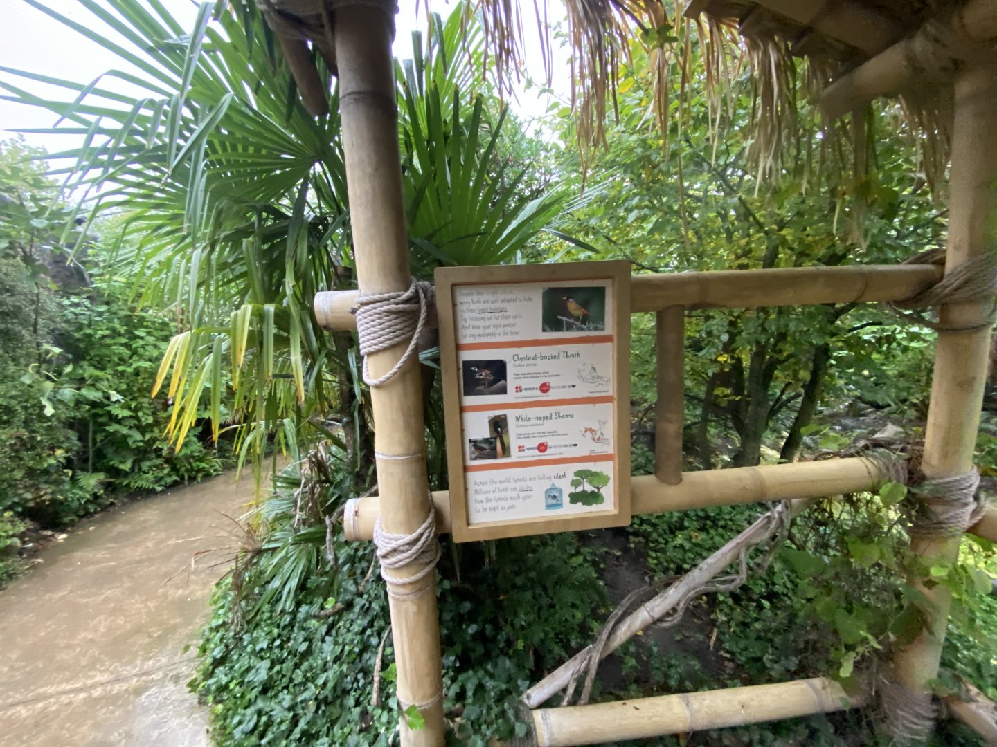 Islands - Indonesian Aviary - inhabitants sign 2 - 181021