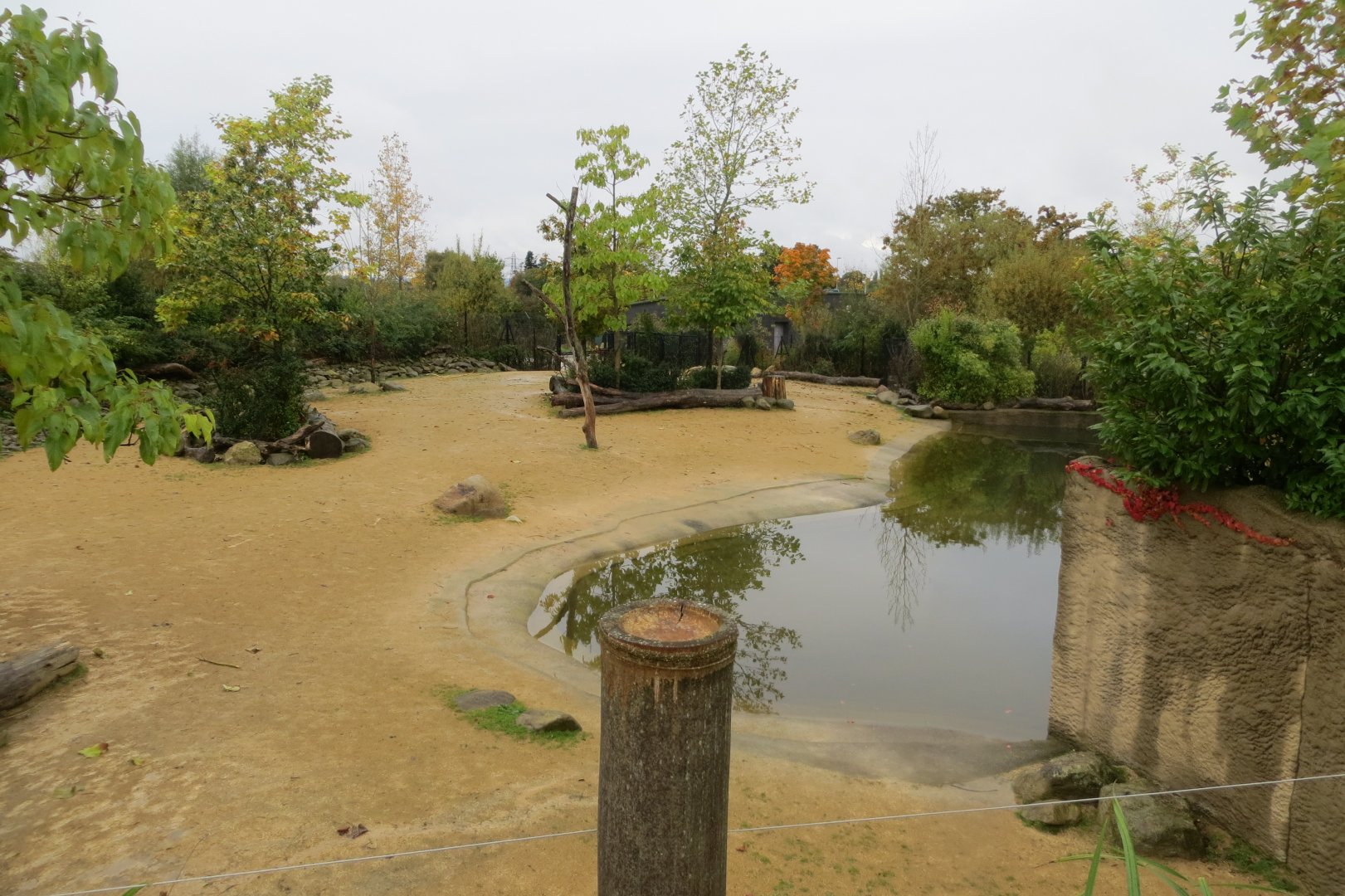 Islands - Javan banteng exhibit 261019