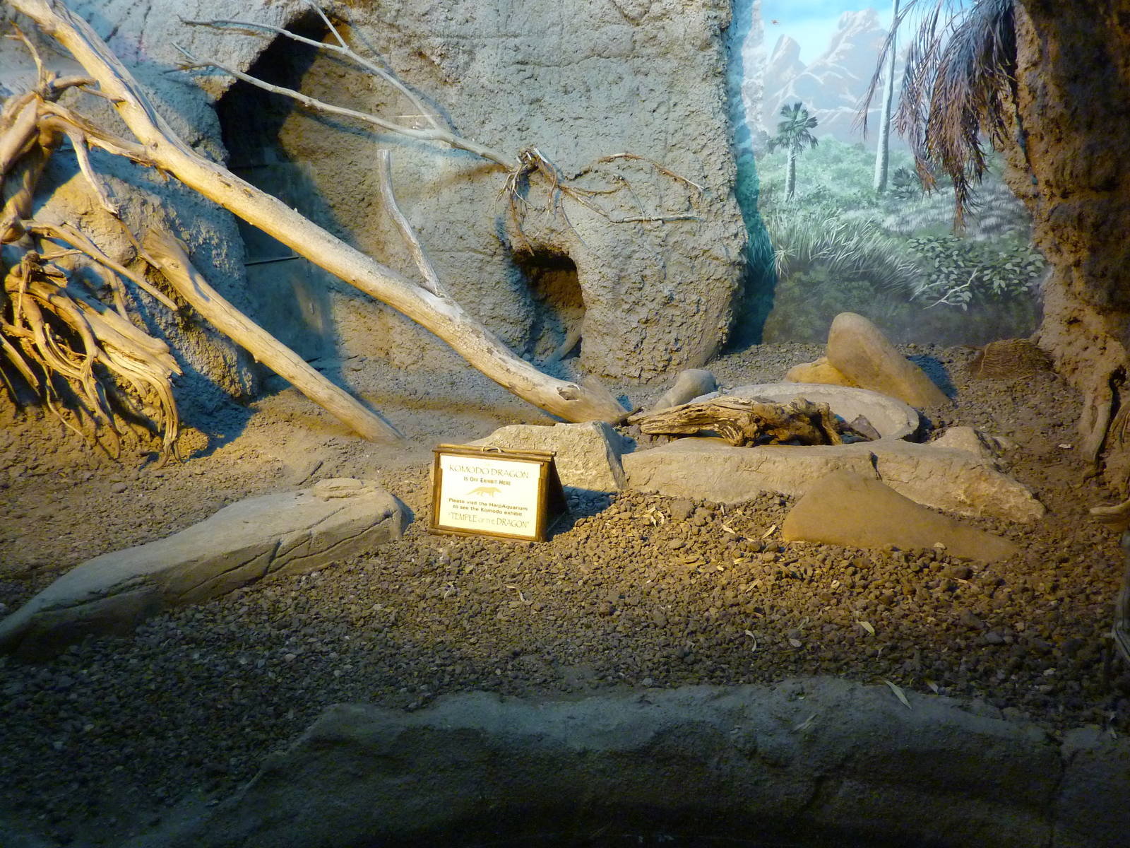 Islands - Komodo Dragon Indoor Exhibit