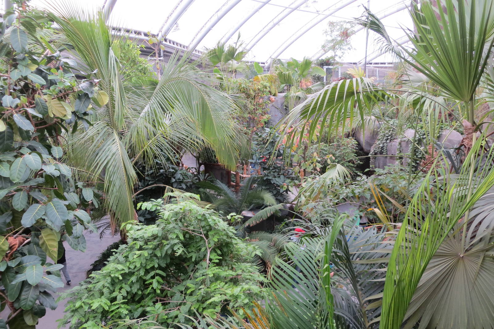 Islands - large indoor exhibit 031015