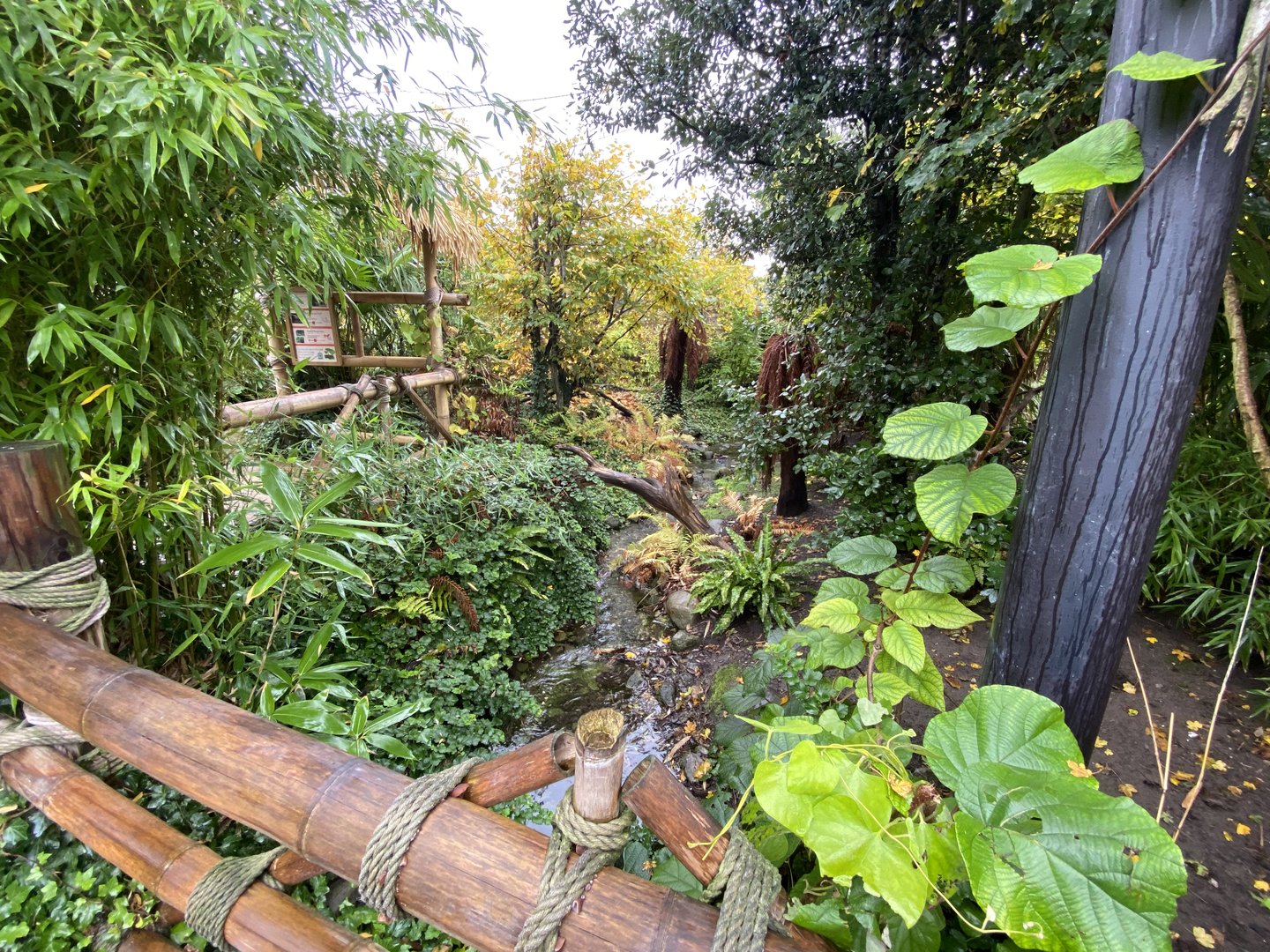 Islands - Larger aviary 221022