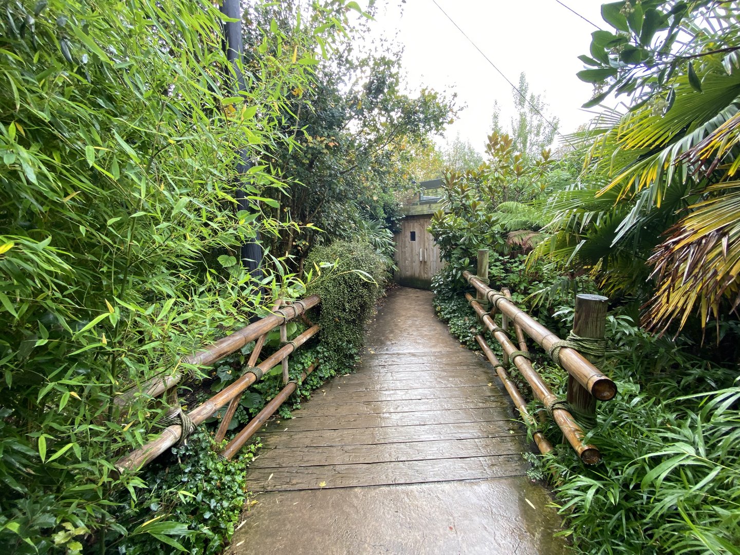 Islands - Larger aviary 221022