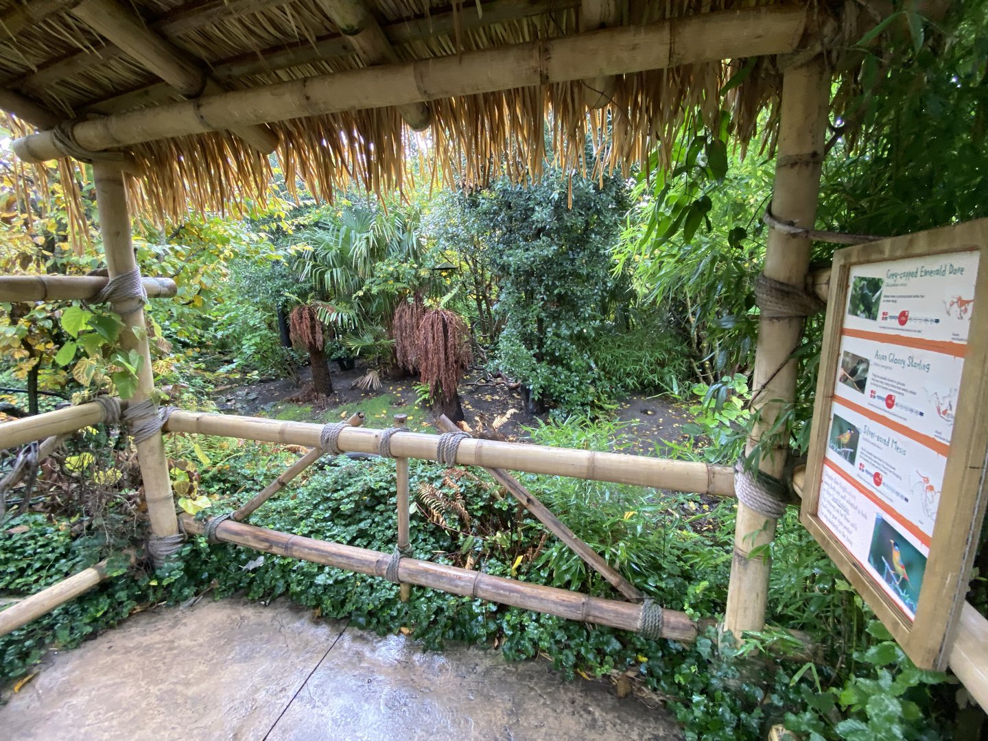 Islands - Larger aviary 221022