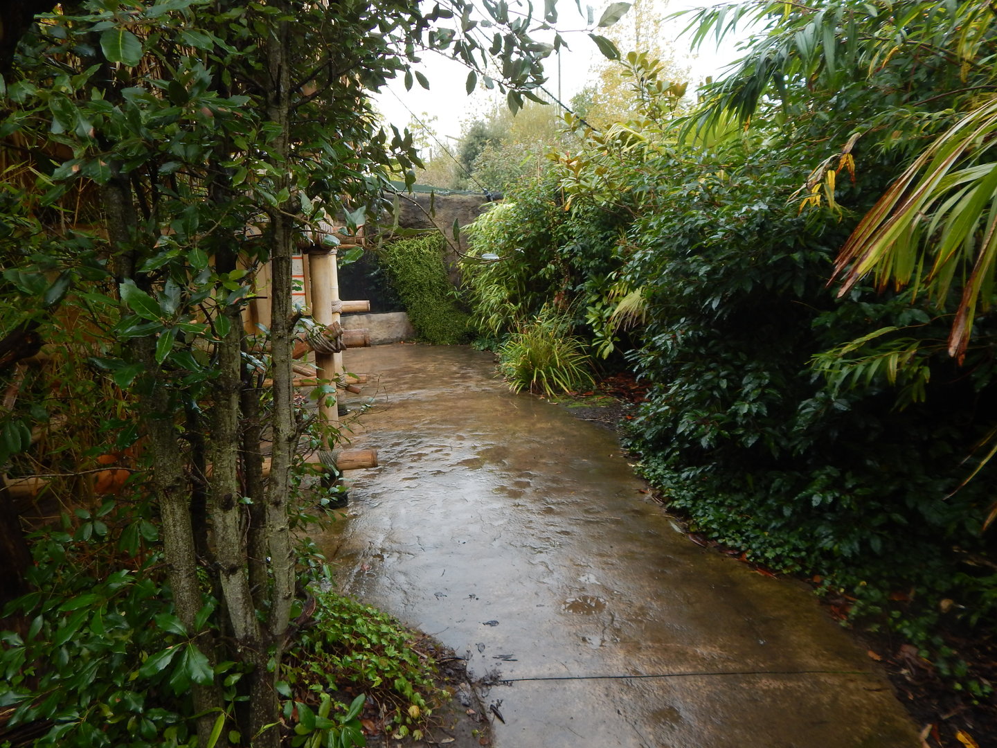 Islands - Larger aviary 221022