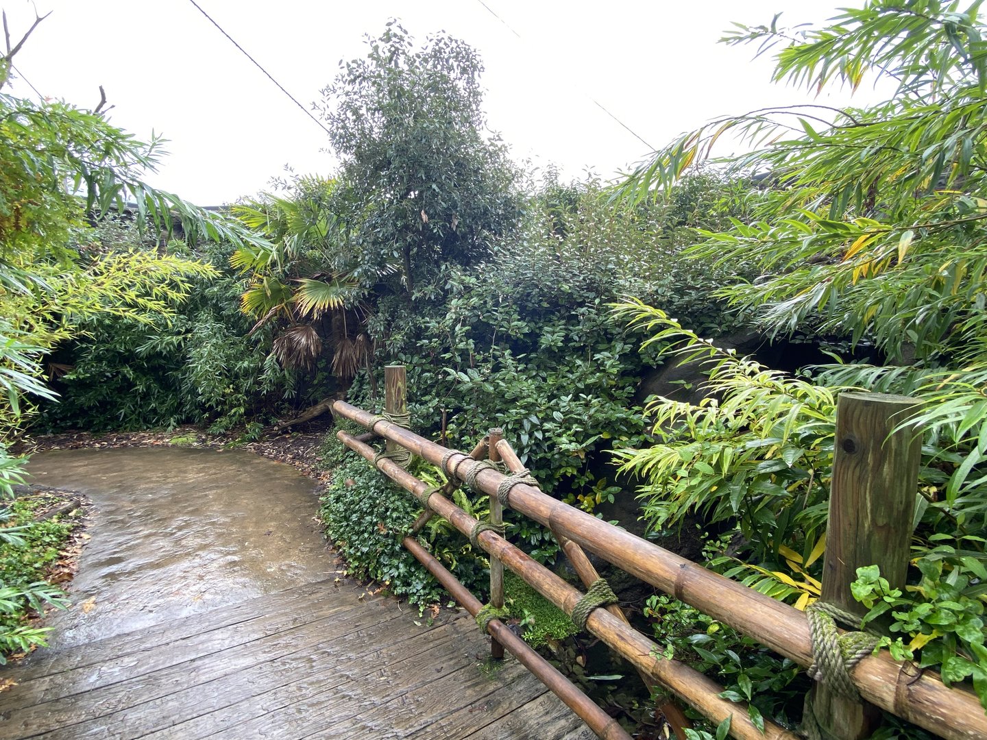 Islands - Larger aviary 221022