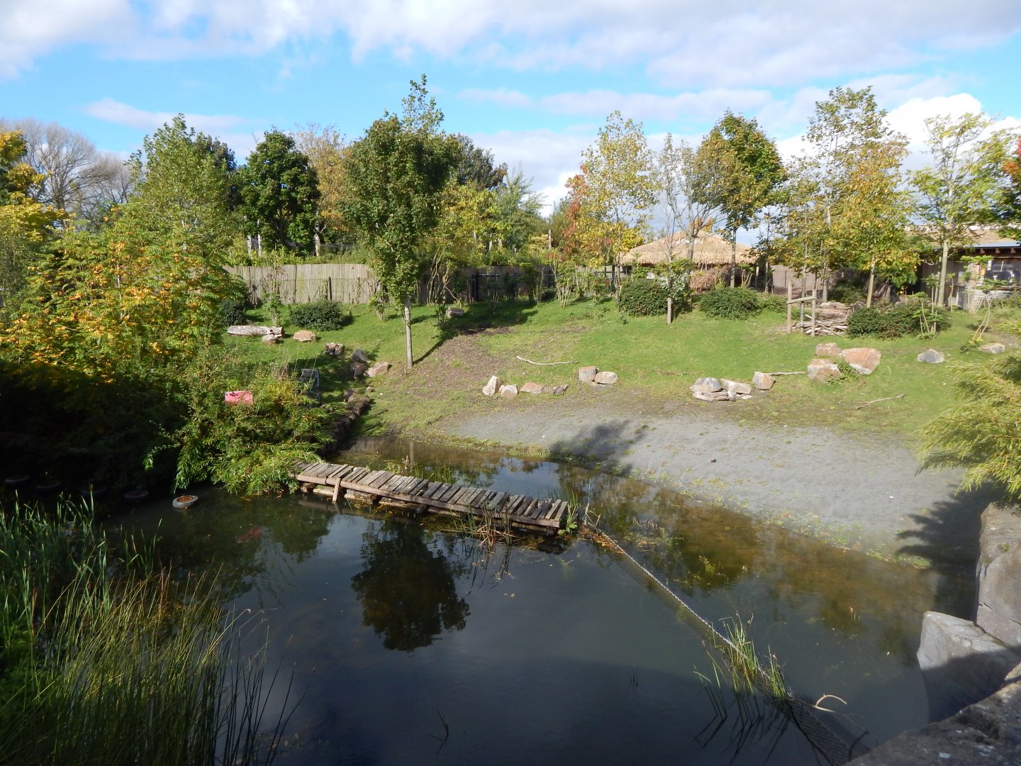 Islands - Lowland anoa enclosure 071020