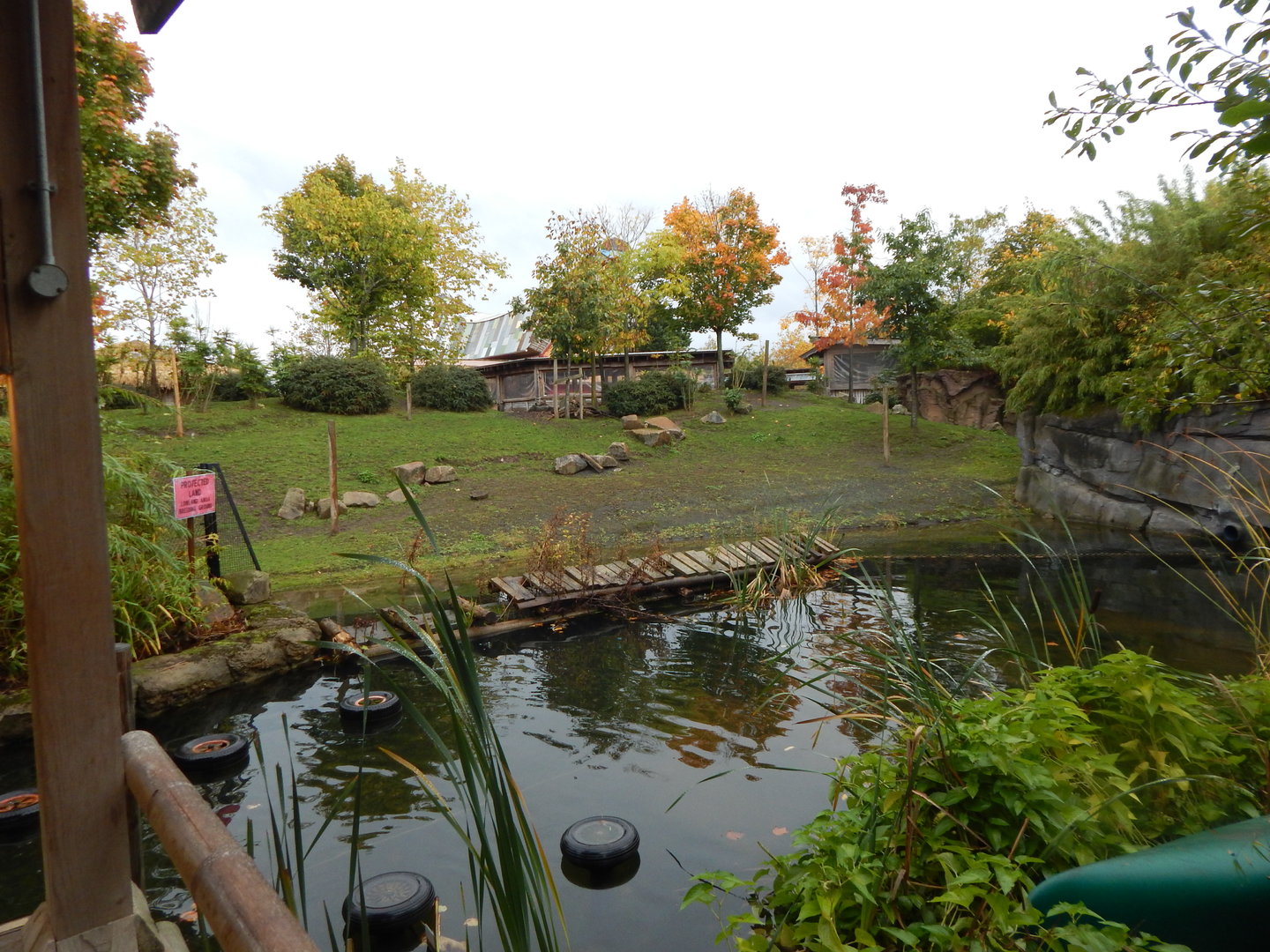 Islands - Lowland anoa enclosure  221022