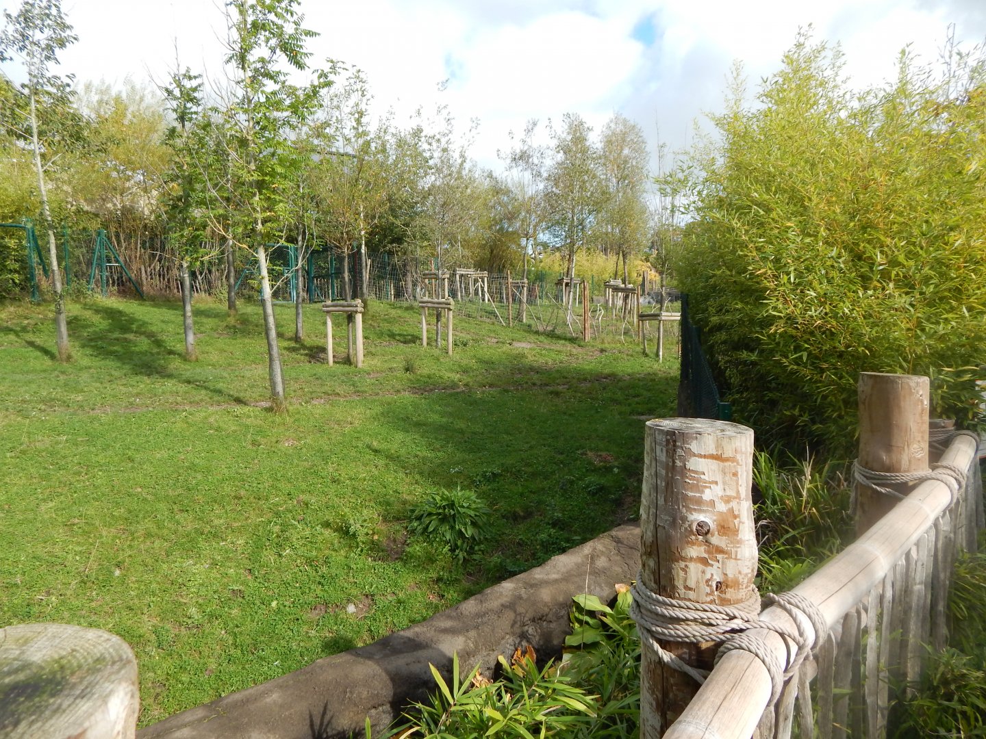 Islands - Malayan tapir enclosure 071020