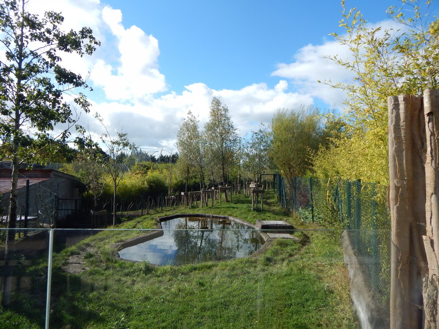Islands - Malayan tapir enclosure 071020