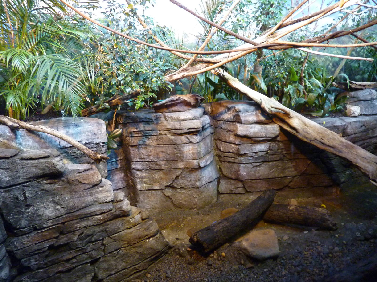 Islands - Mixed-Species Aviary