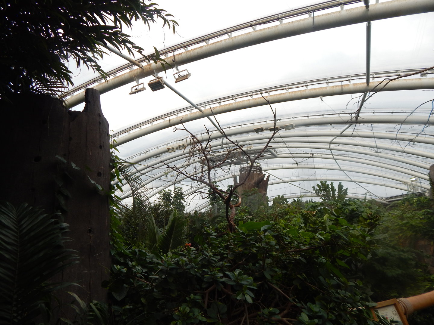 Islands - Monsoon Forest 221022