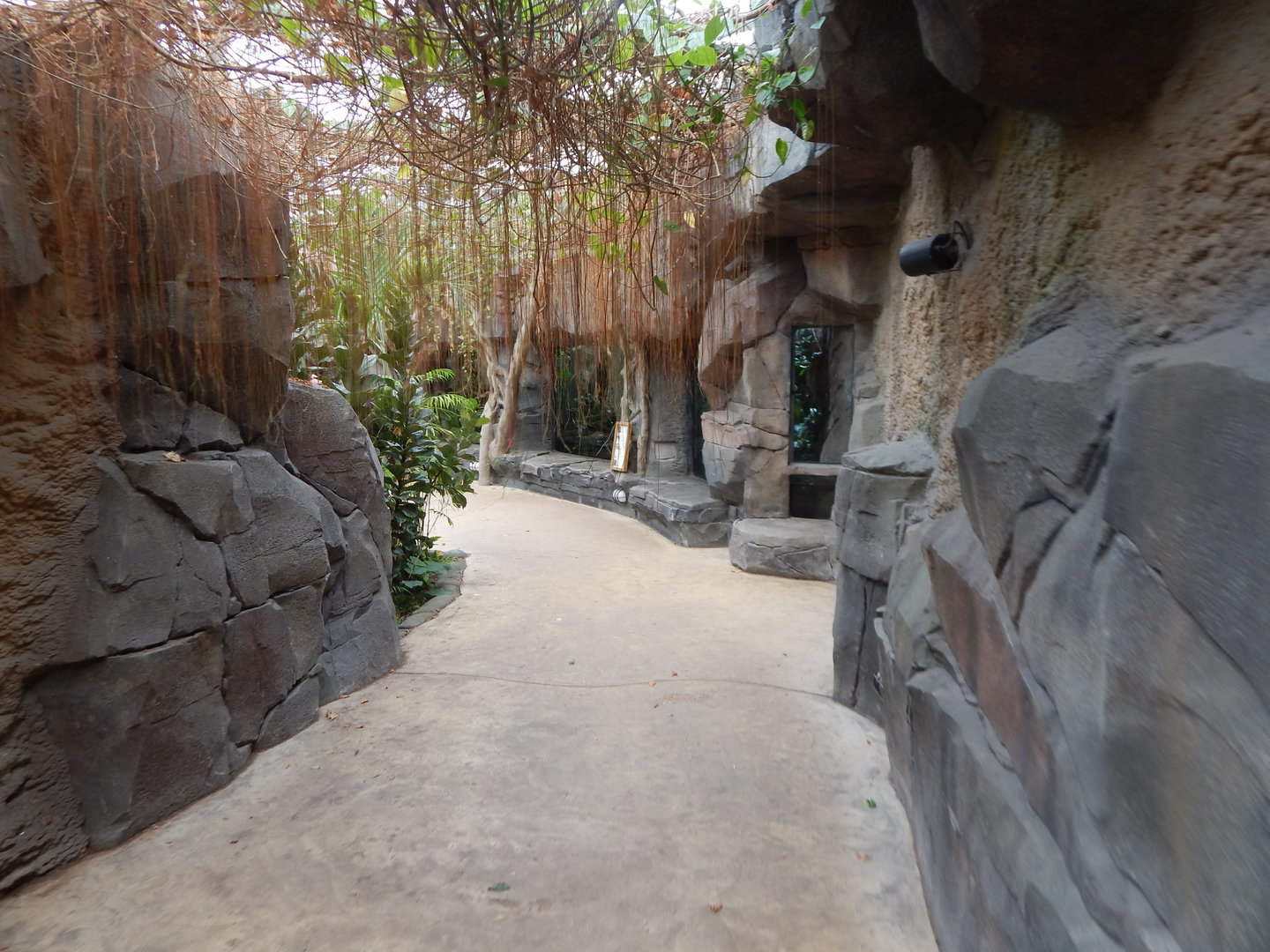 Islands - Monsoon Forest 221022