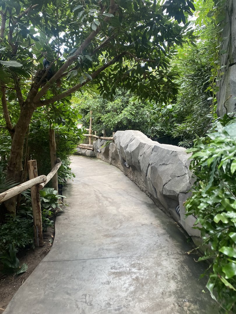 Islands - Monsoon Forest 221022