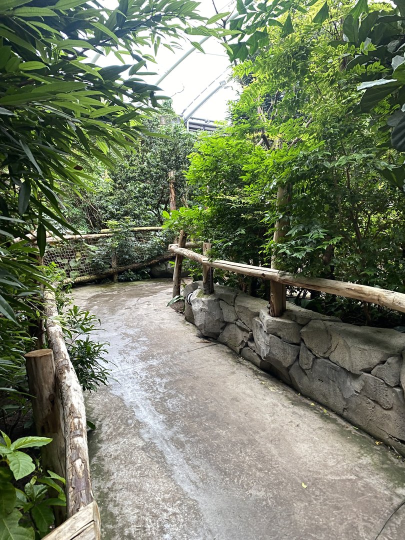 Islands - Monsoon Forest 221022