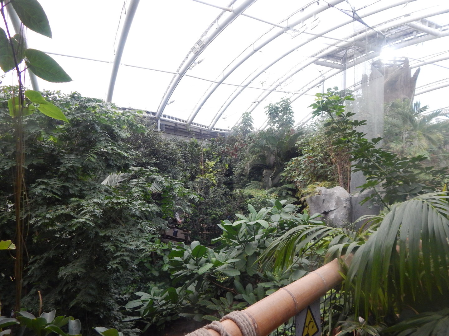 Islands - Monsoon Forest 221022