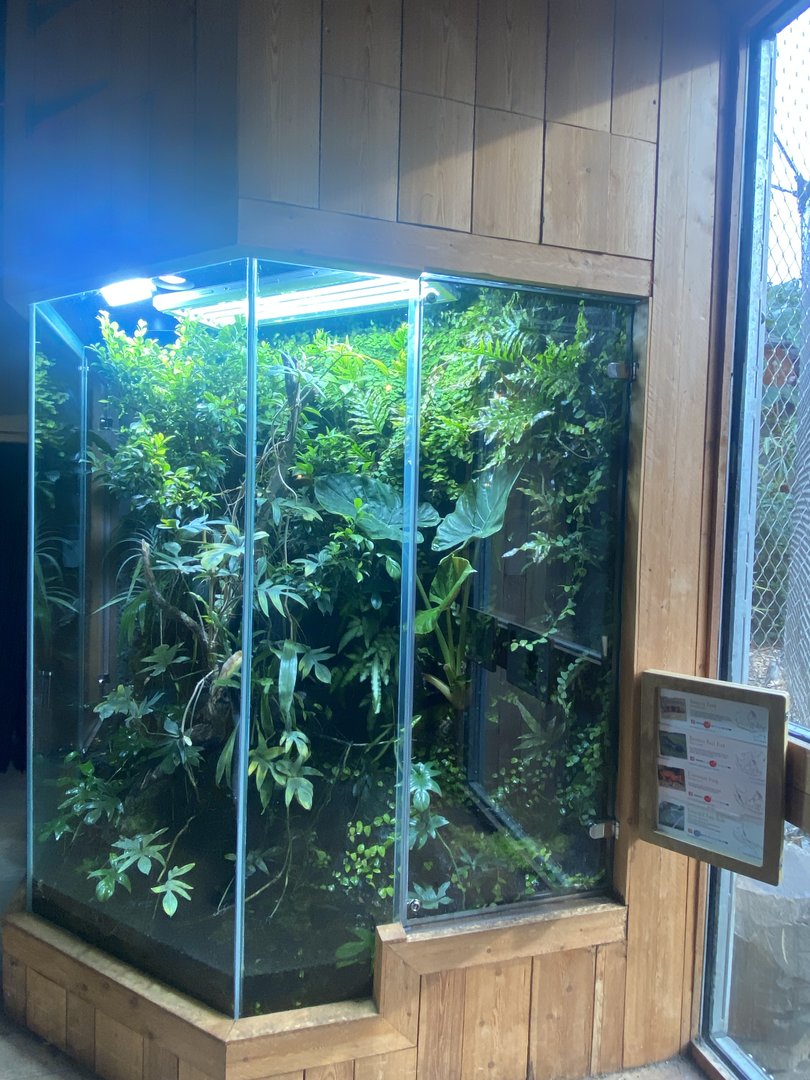 Islands - Monsoon Forest - Mixed exhibit 221022