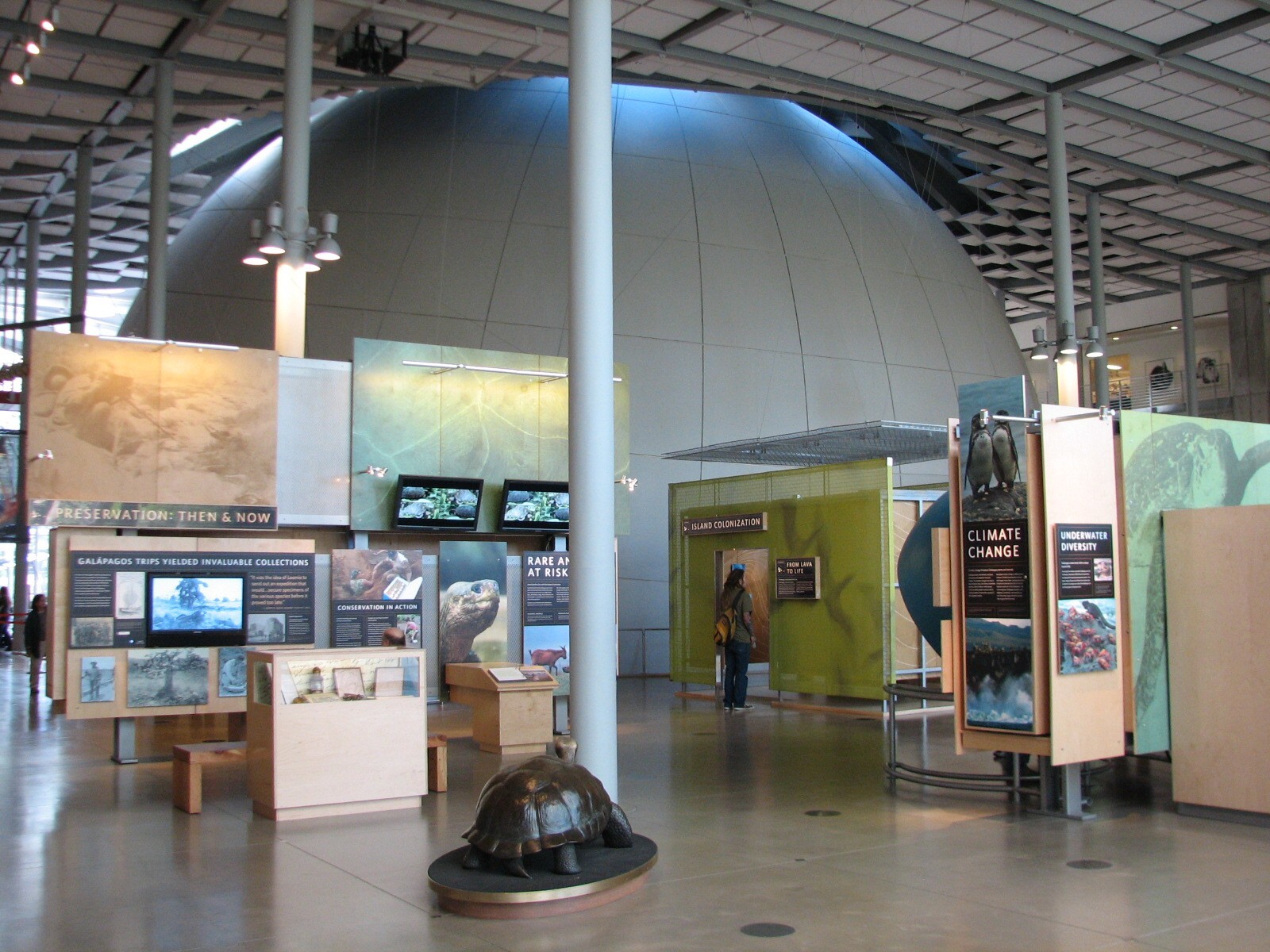 Islands of Evolution Gallery
